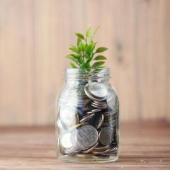 A plant grows out of a jar filled with coins.