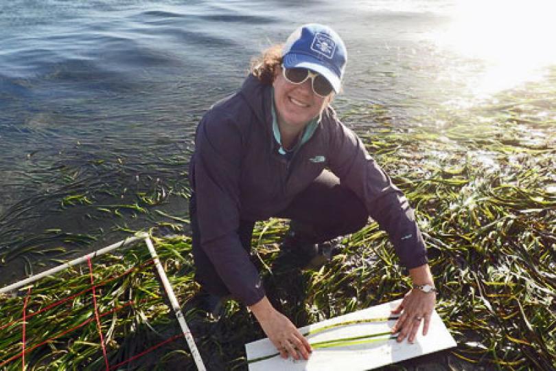 Jennifer O'Leary: Pew Fellowship funds Cal Poly biologist's study of Indian Ocean
