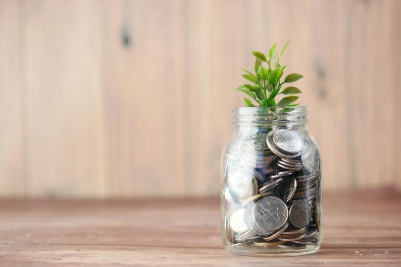 A plant grows out of a jar filled with coins.