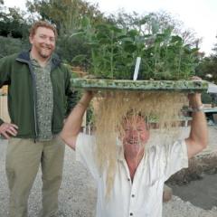 Santa Barbara Aquaponics