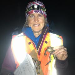 Marcy Mahr in an illuminated orange safety vest holding a clipboard and a western toad