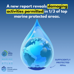 A graphic shows a water droplet superimposed over planet Earth, with 2.6% highlighted in darker blue to indicate the percentage of sufficiently protected MPAs. White and yellow text reads “A new report reveals damaging activities permitted in ⅓ of top marine protected areas.” with the logos of the MPA Guide, Marine Protection Atlas and Marine Conservation Institute against a blue gradient background. 