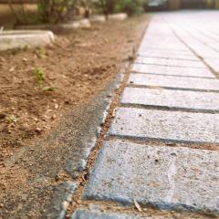 A close up of soil along the edge of a cobblestone road, with plants, a concrete wall and parked cars out of focus in the background. 