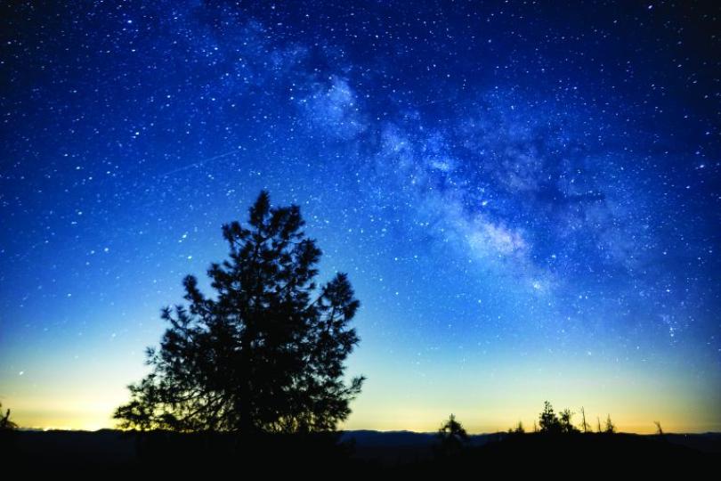 The silhouette of a large tree stands against a backdrop of yellow light along the horizon and a deep blue sky full of stars and the Milky Way, taken in Molok Luyuk. 