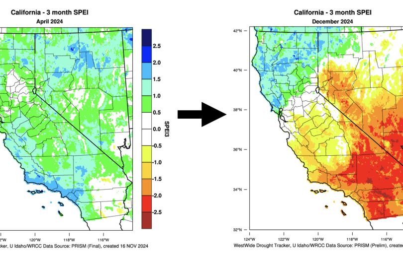 Illustration of Southern California’s remarkable wet-to-dry hydroclimate whiplash event in 2024, here represented by April 2024 SPEI values of +1.5 to +2.0 transitioning to -1.5 to -2.0 (units are standard deviations). (Source: WRCC) via John Abatzoglou, posted on weatherwest.com 