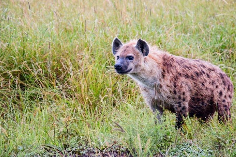 Mongabay QA with Christine Wilkinson