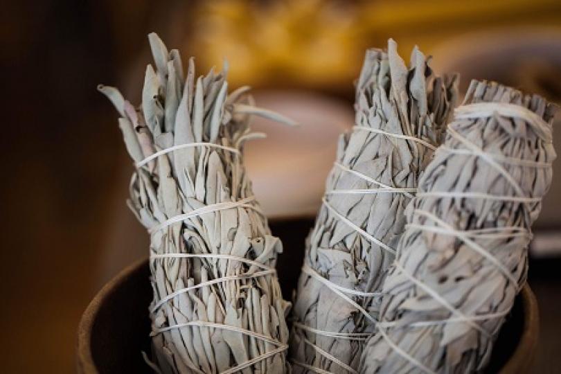 Jensen quoted about commodification of white sage