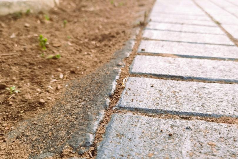 A close up of soil along the edge of a cobblestone road, with plants, a concrete wall and parked cars out of focus in the background. 